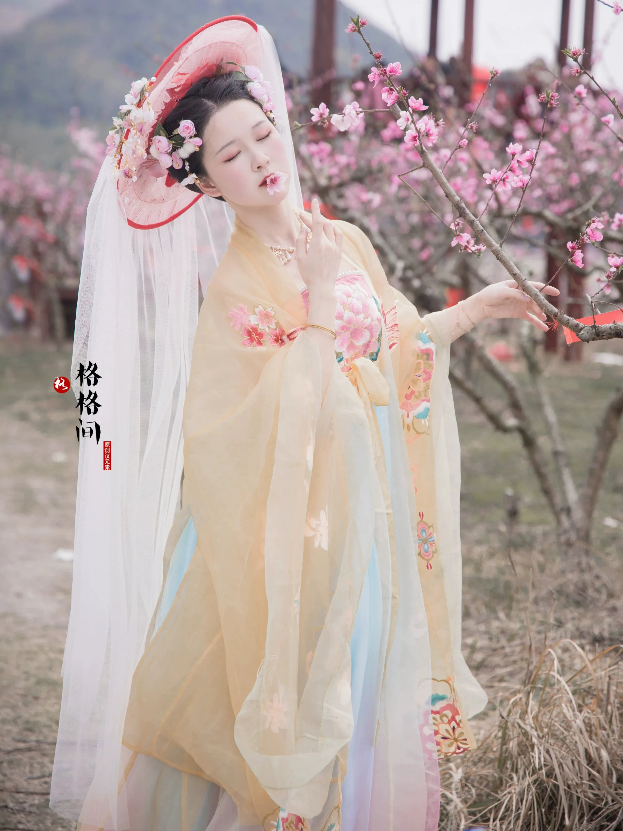 Chuan Zhu 串珠 Pearl Beads Tang Dynasty Modernized Weimao Veiled Hat